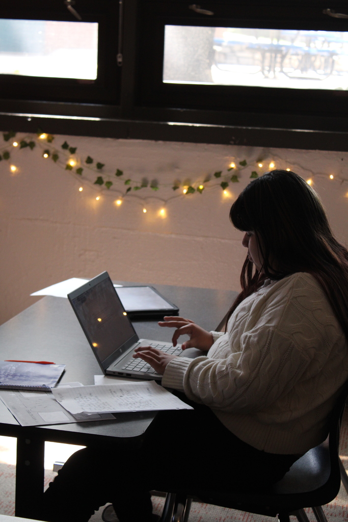 Student on laptop