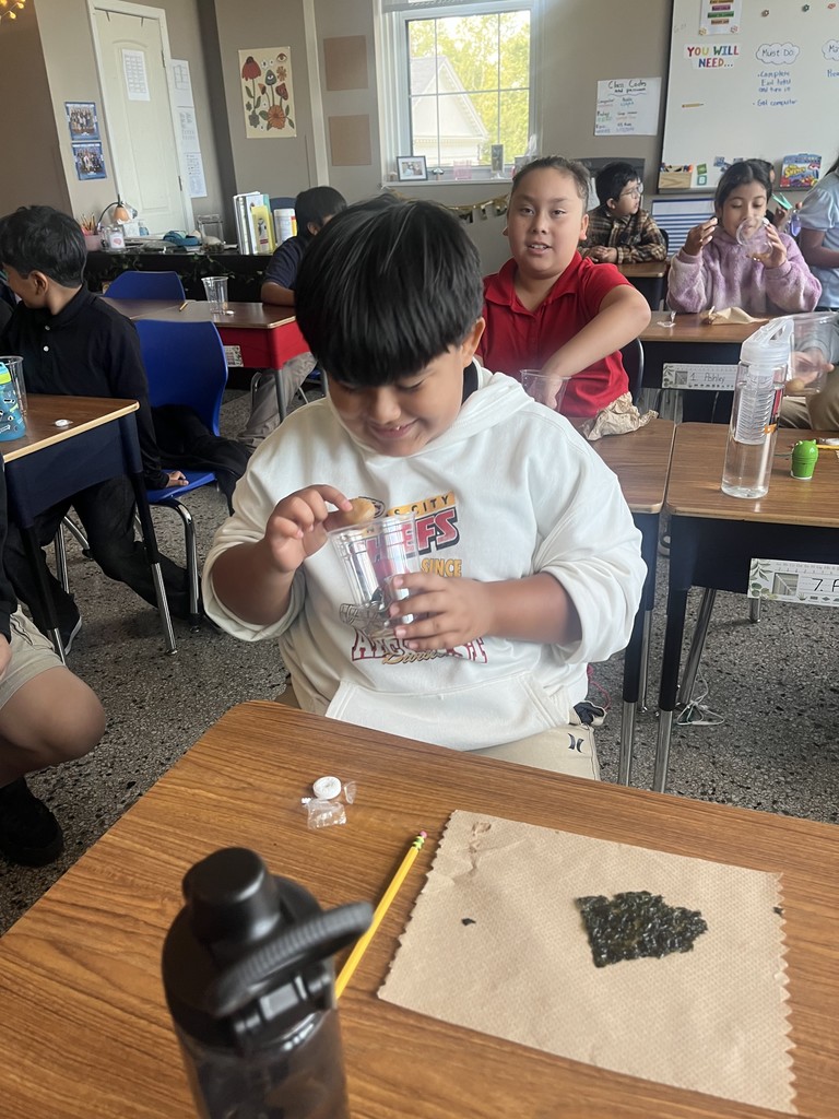 Students trying out sea weed and chestnuts. 