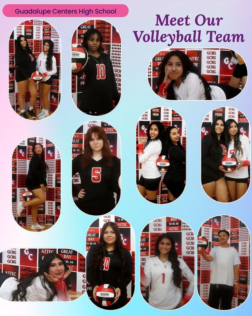 volleyball team
