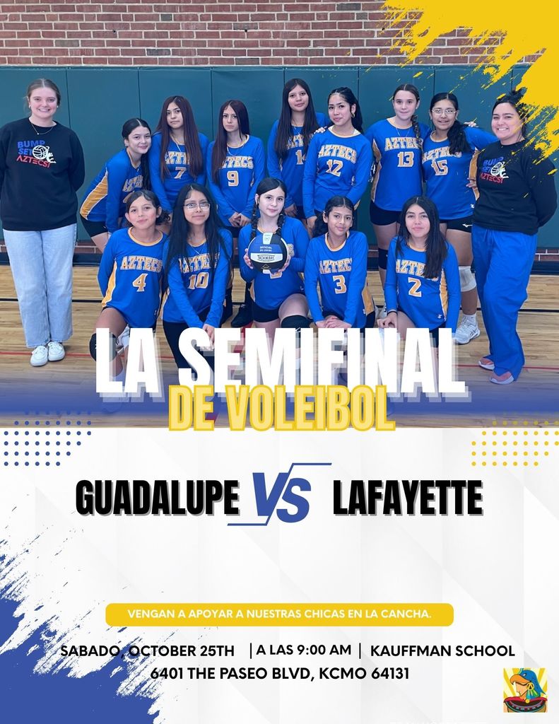 semifinal vb