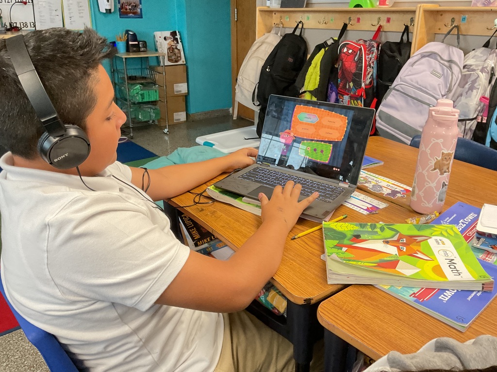 Student using a computer 