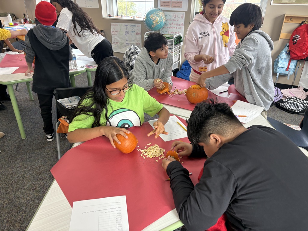 Fall parties celebrations 