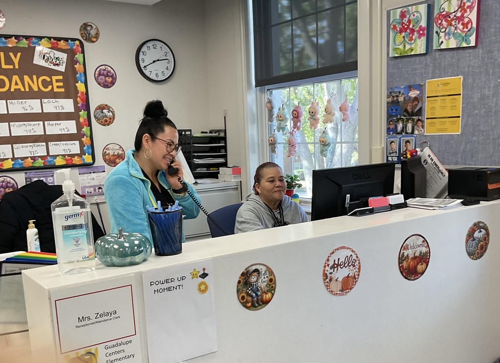 Office Staff Working