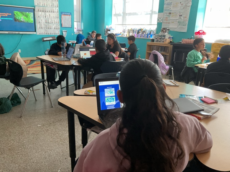 students sitting in groups while exploring the digital library in their computers