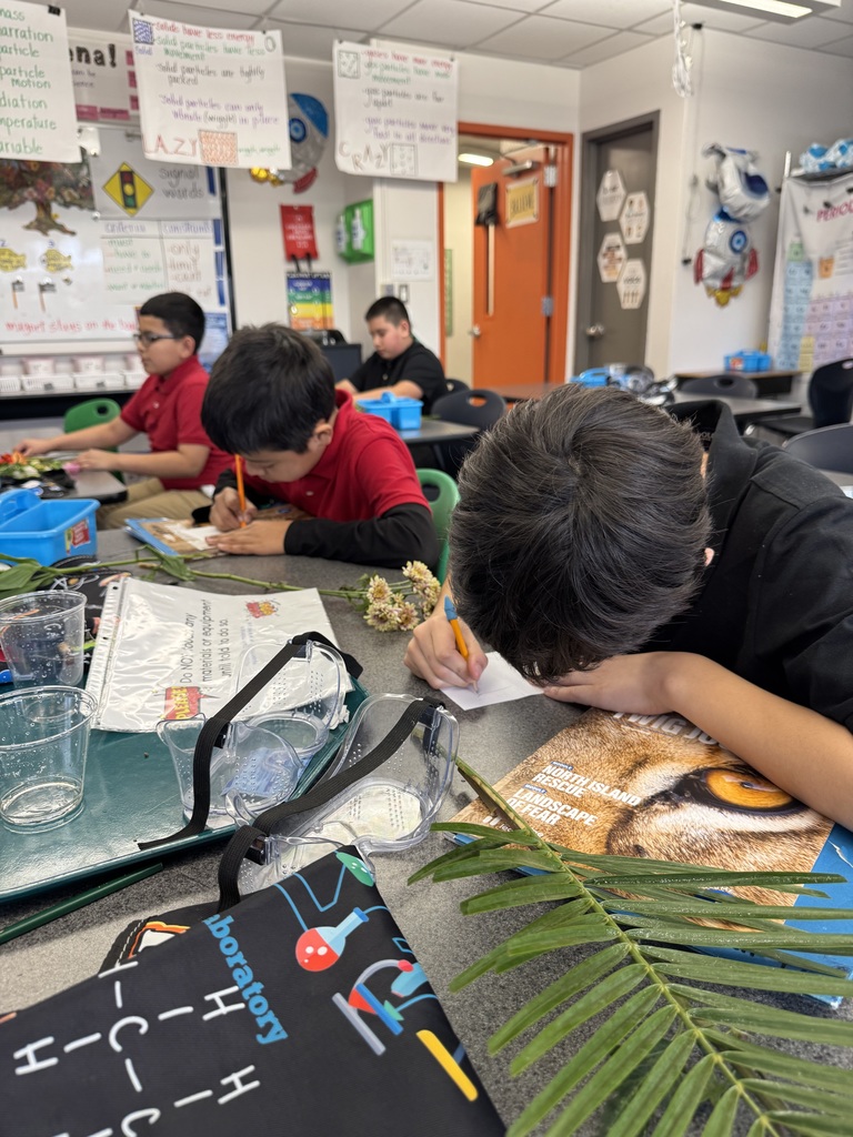 students drawing their flowers