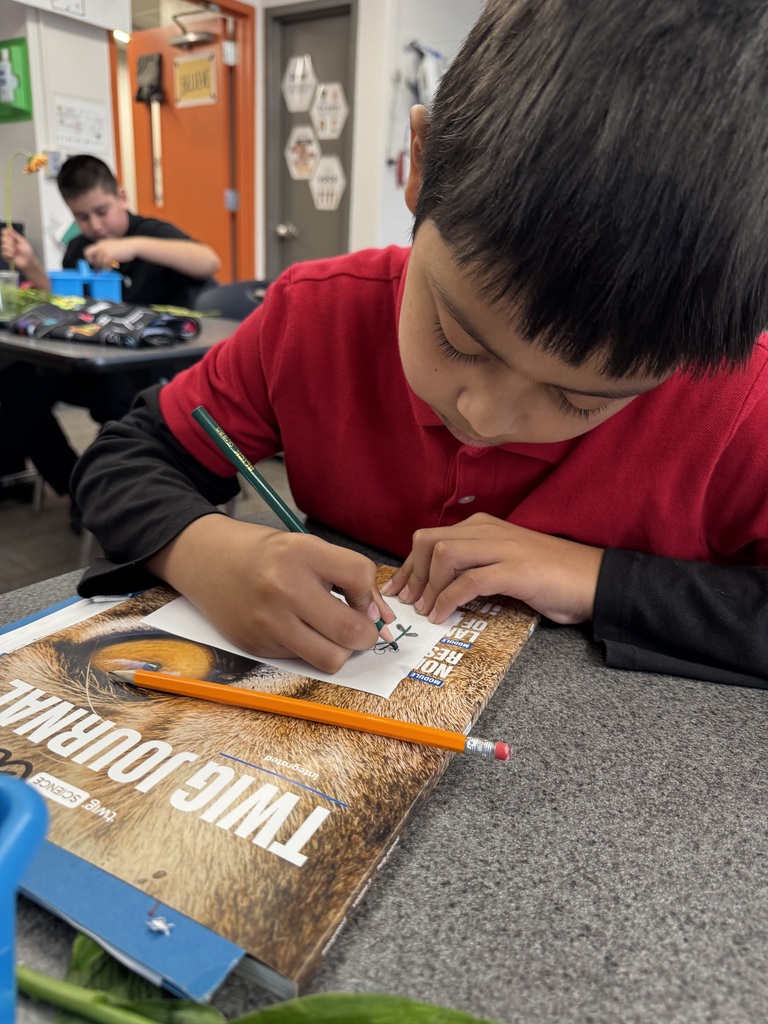 student drawing his flowers