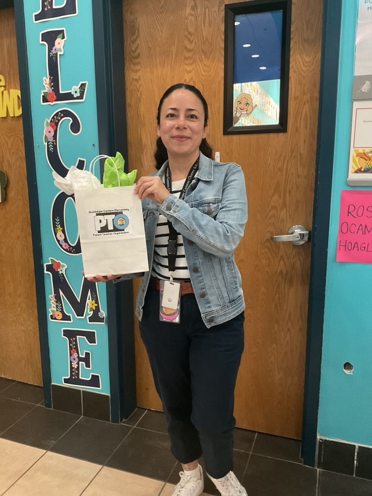 picture of paraprofessional