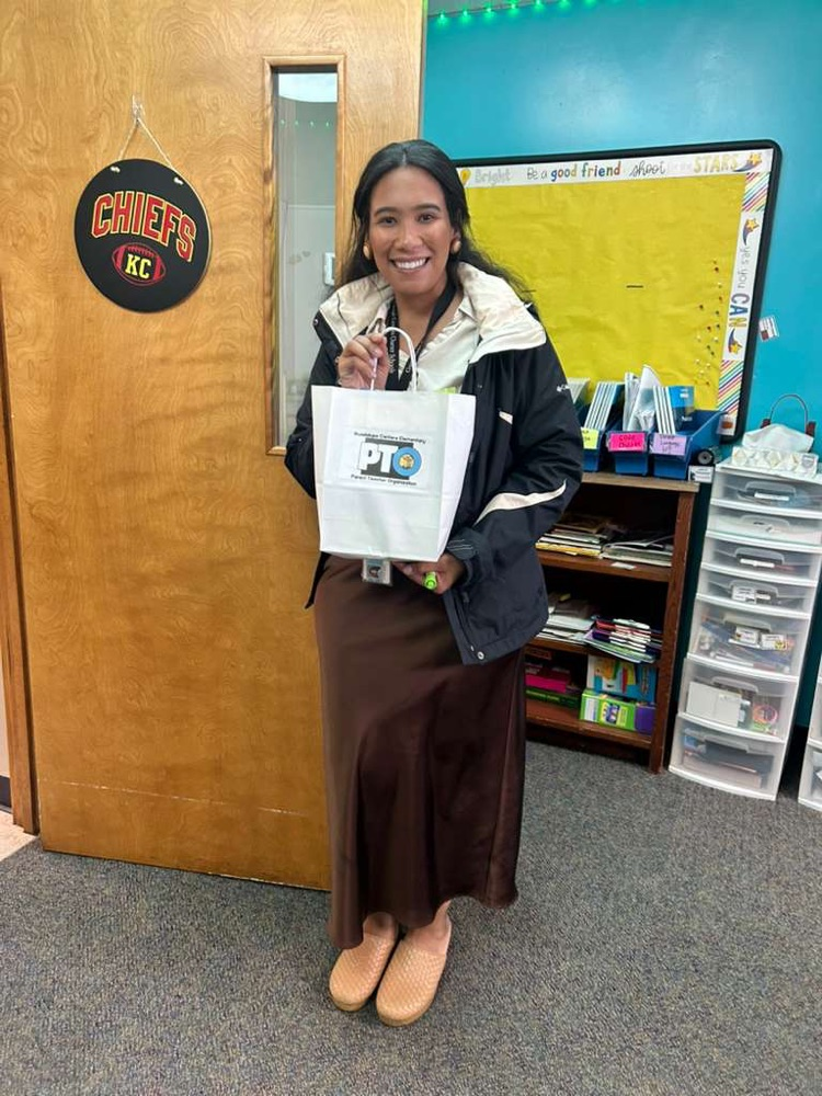 picture of paraprofessional