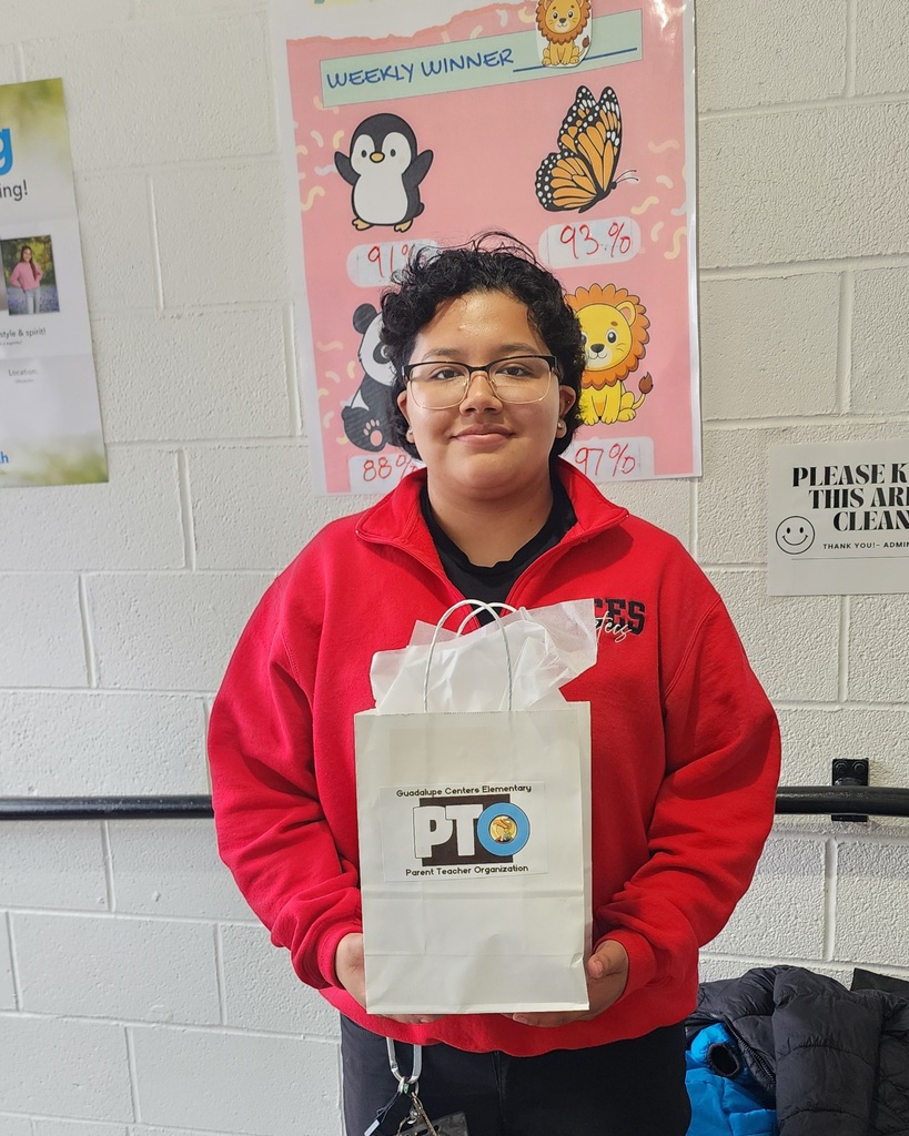 picture of paraprofessional