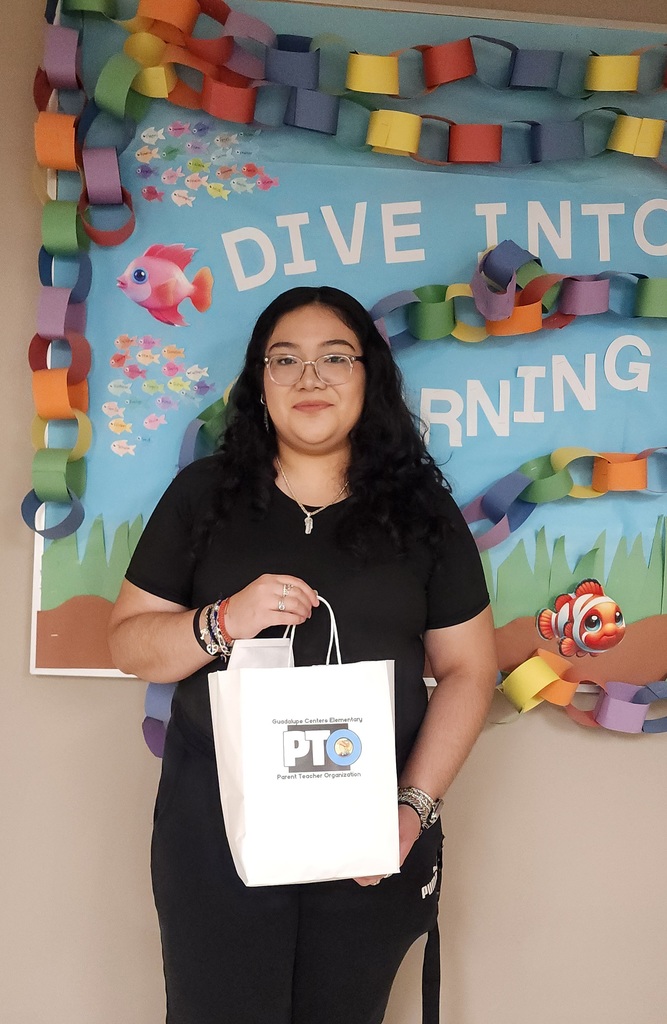 picture of paraprofessional