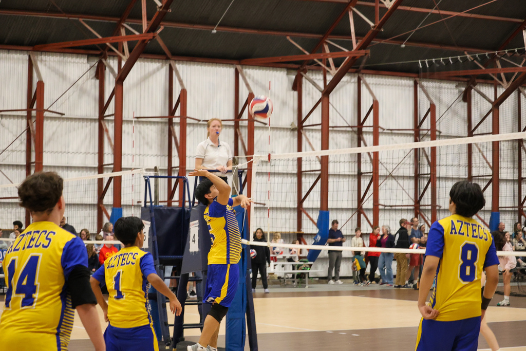 boys volleyball