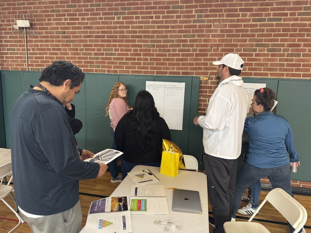 teachers during PD working together