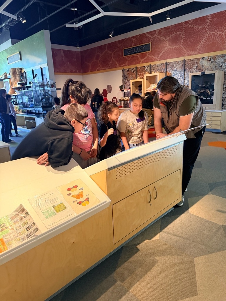 Students looking at fossils.