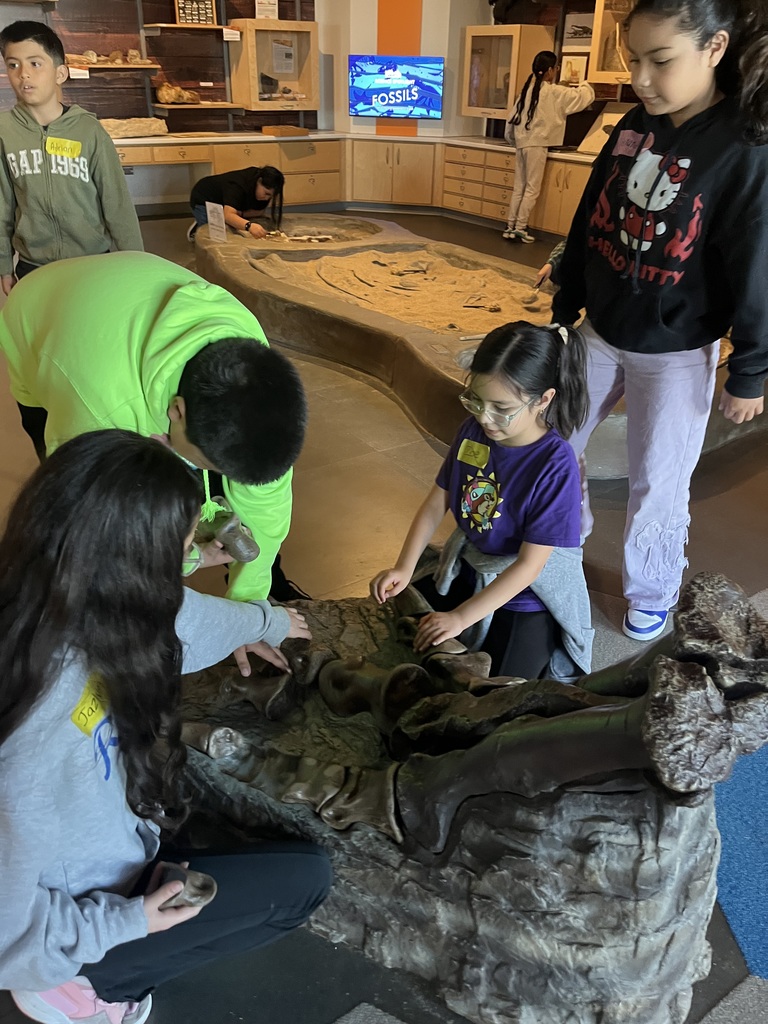 4 Students looking at fossils 