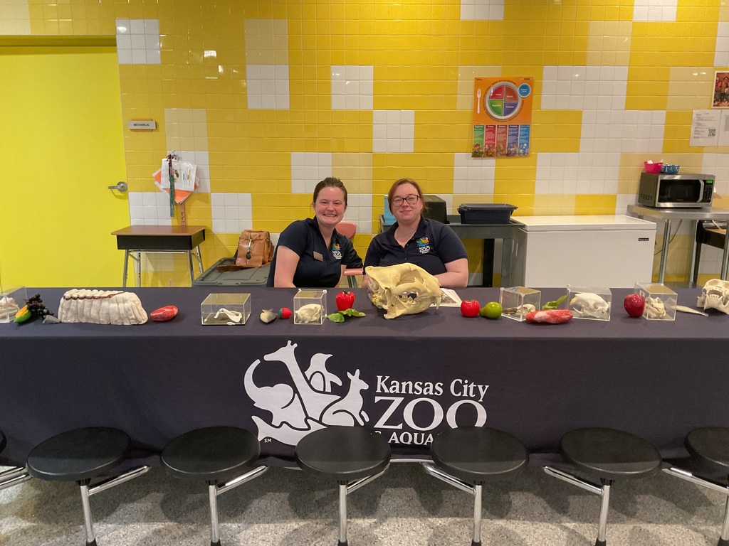 2 people on the KC zoo table