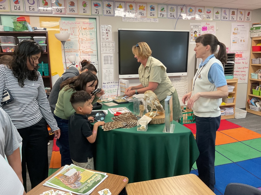 student looking at science objects in the burrs oak table