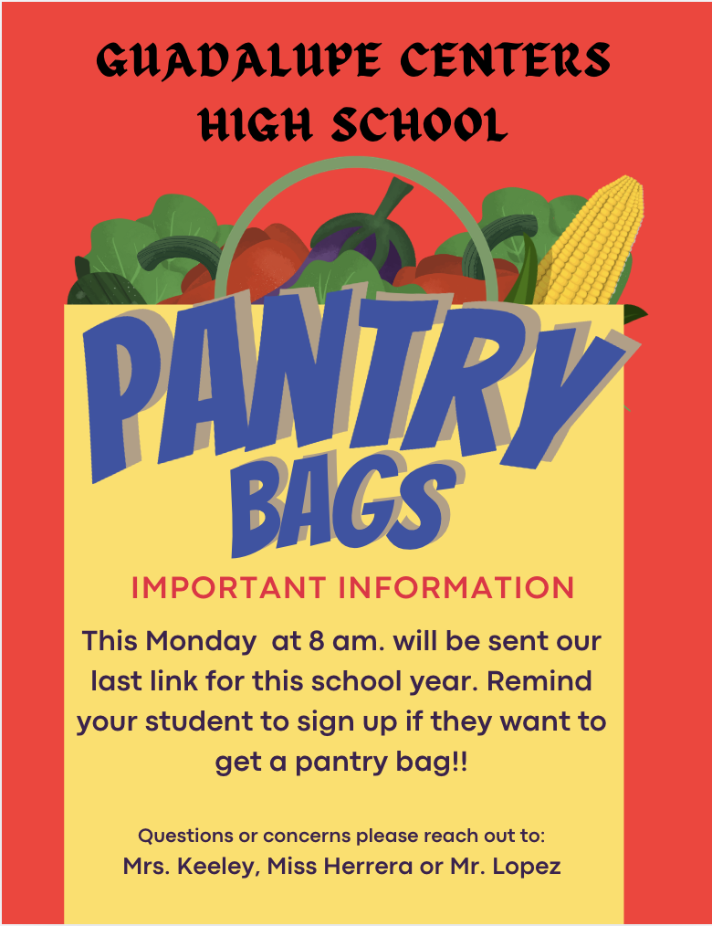 Pantry Bags