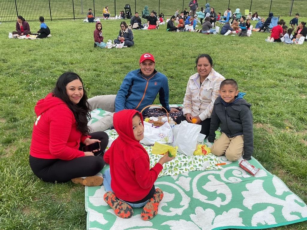 Children sitting together outdoors, enjoying their lunch bags and sharing special moments during a family picnic day.