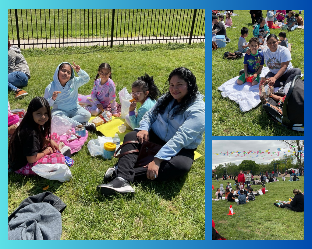A collage featuring different images of families during a picnic day, with moms and children spending quality time together and enjoying a fun-filled da