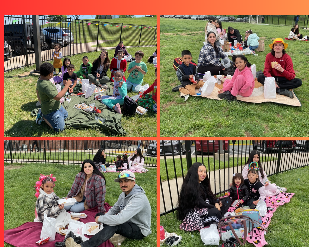 A collage featuring different images of families during a picnic day, with moms and children spending quality time together and enjoying a fun-filled day.