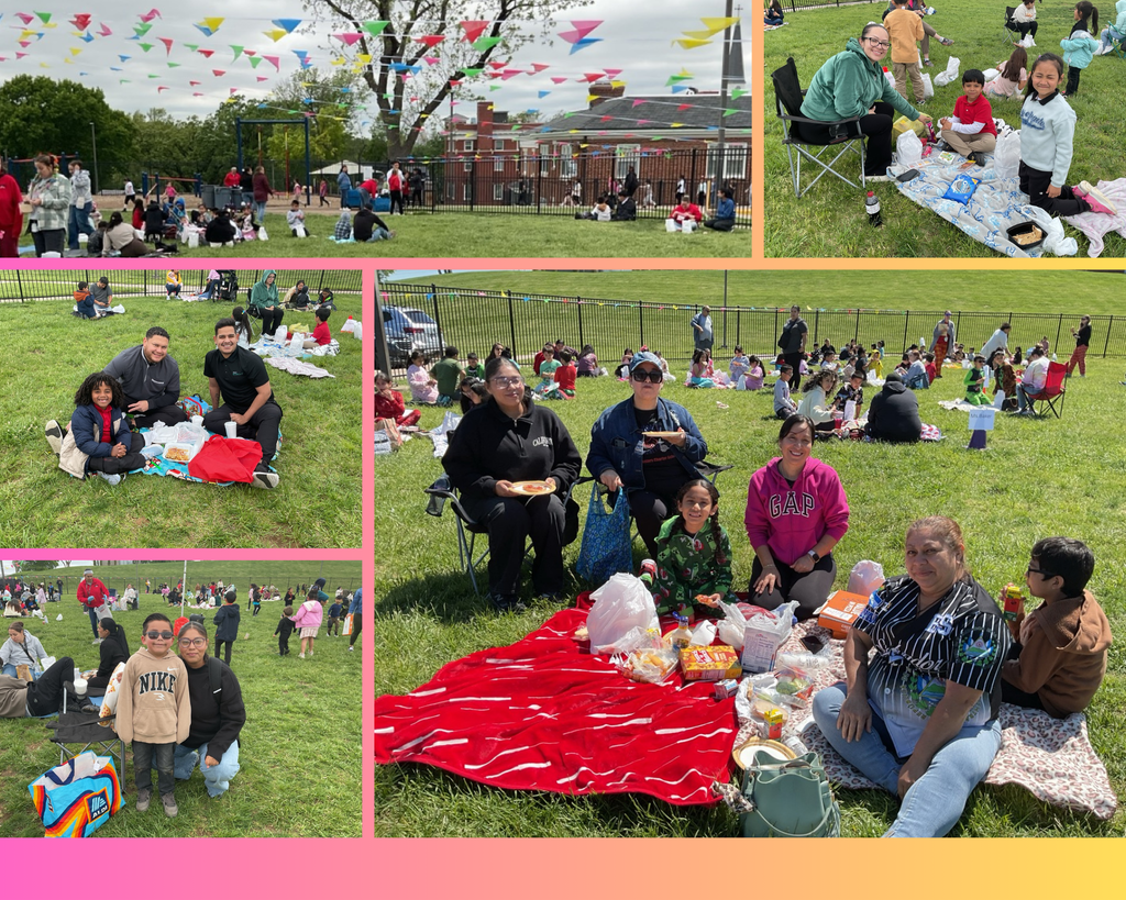 A collage featuring different images of families during a picnic day, with moms and children spending quality time together and enjoying a fun-filled da