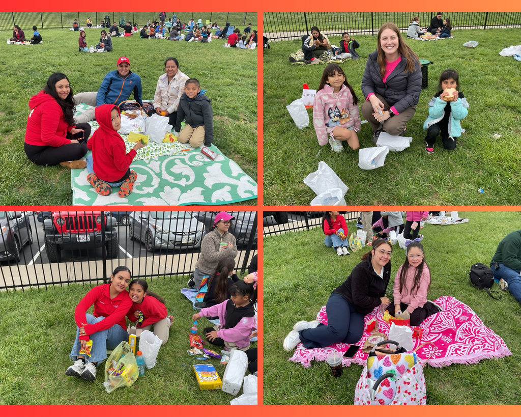 A collage featuring different images of families during a picnic day, with moms and children spending quality time together and enjoying a fun-filled da