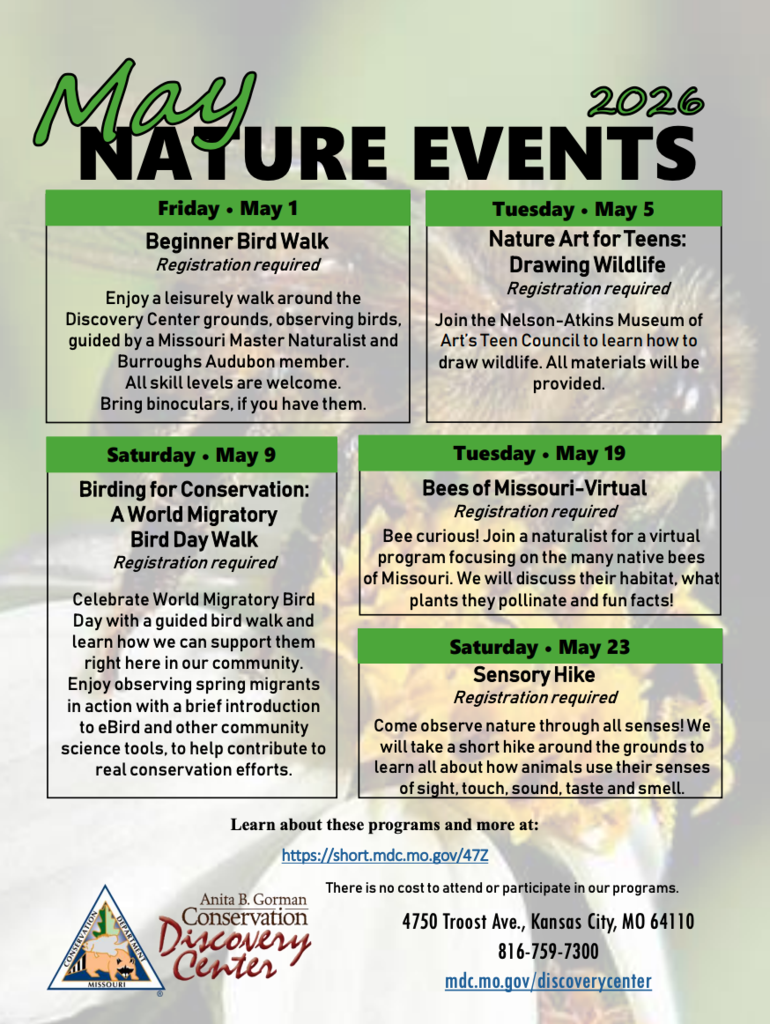 community events