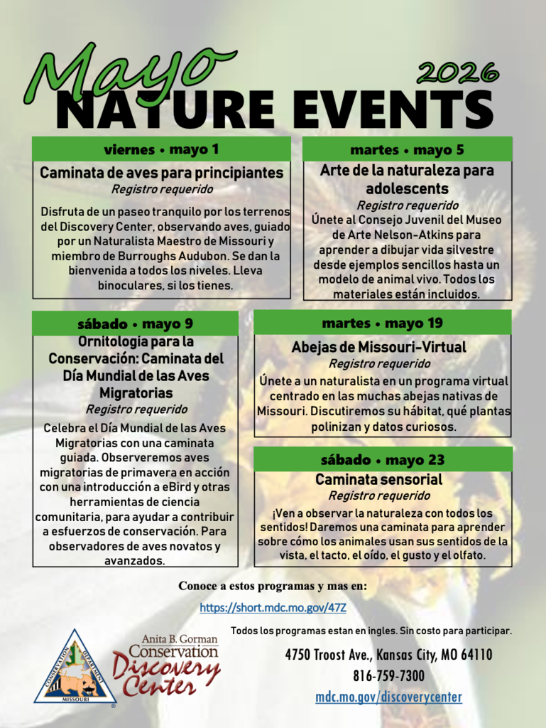 community events
