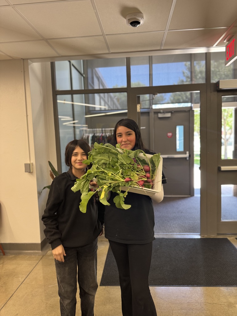 students picked out from our garden
