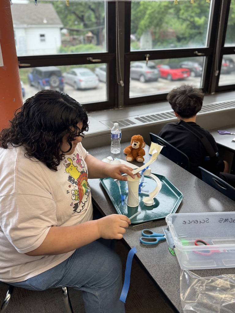 Marble roller coaster in Ms. Wilkins' science class