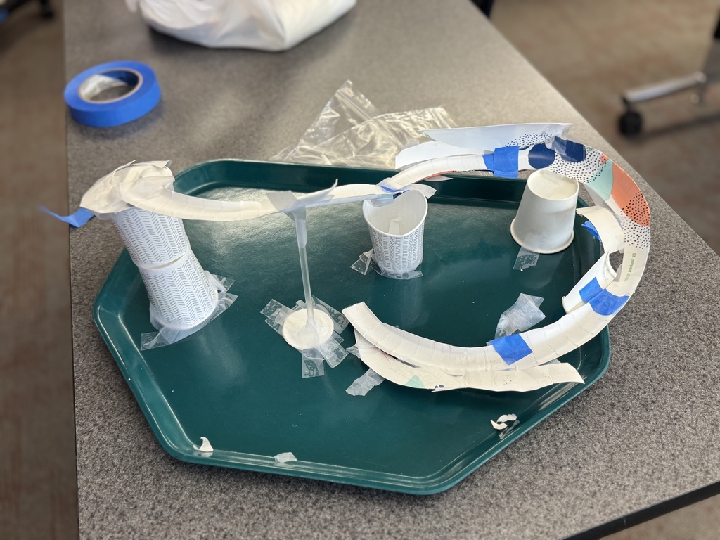 Marble roller coaster in Ms. Wilkins' science class