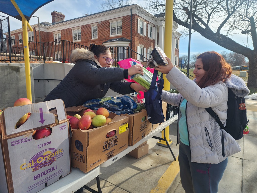 A female volunteer is handing out food supplies to another woman. The volunteer holds a reusable bag while placing food items inside it. The other woman assists by holding the bag open. The scene shows a moment of cooperation and support during a food distribution event.