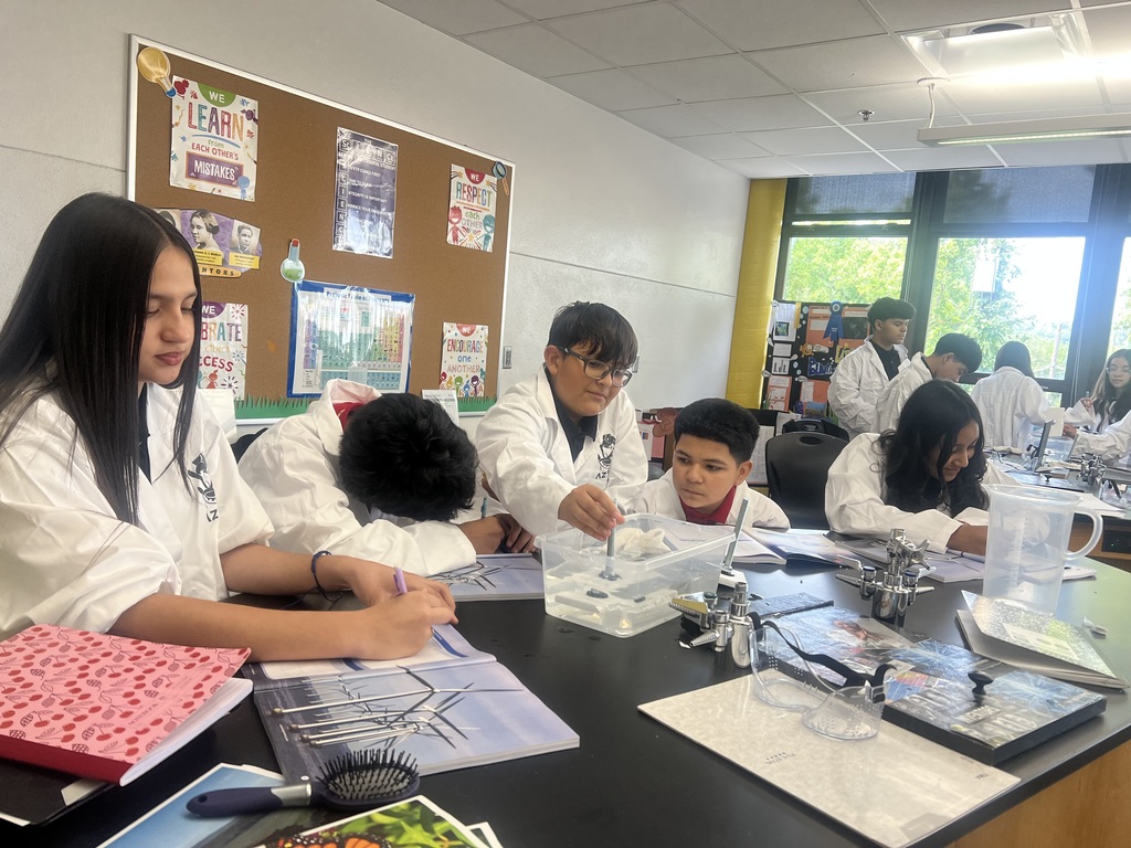 students wearing their white lab coat and working as a team 