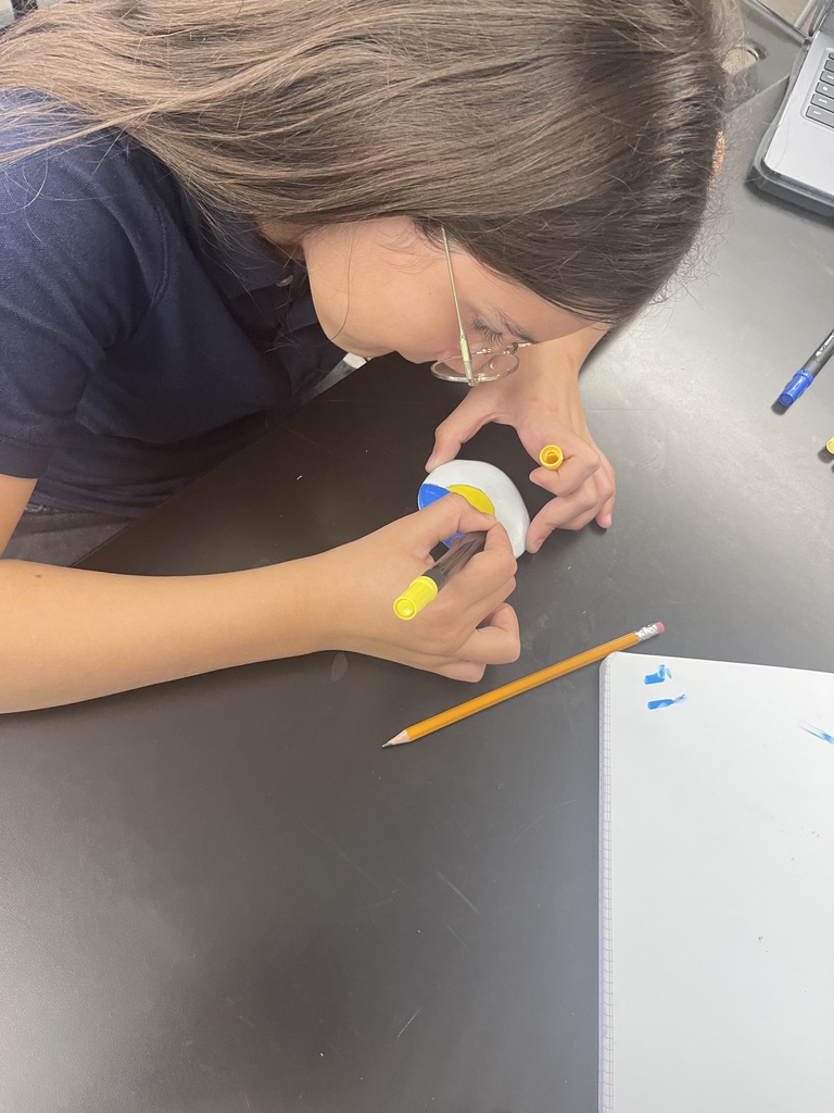 girls wearing glasses is painting a rock