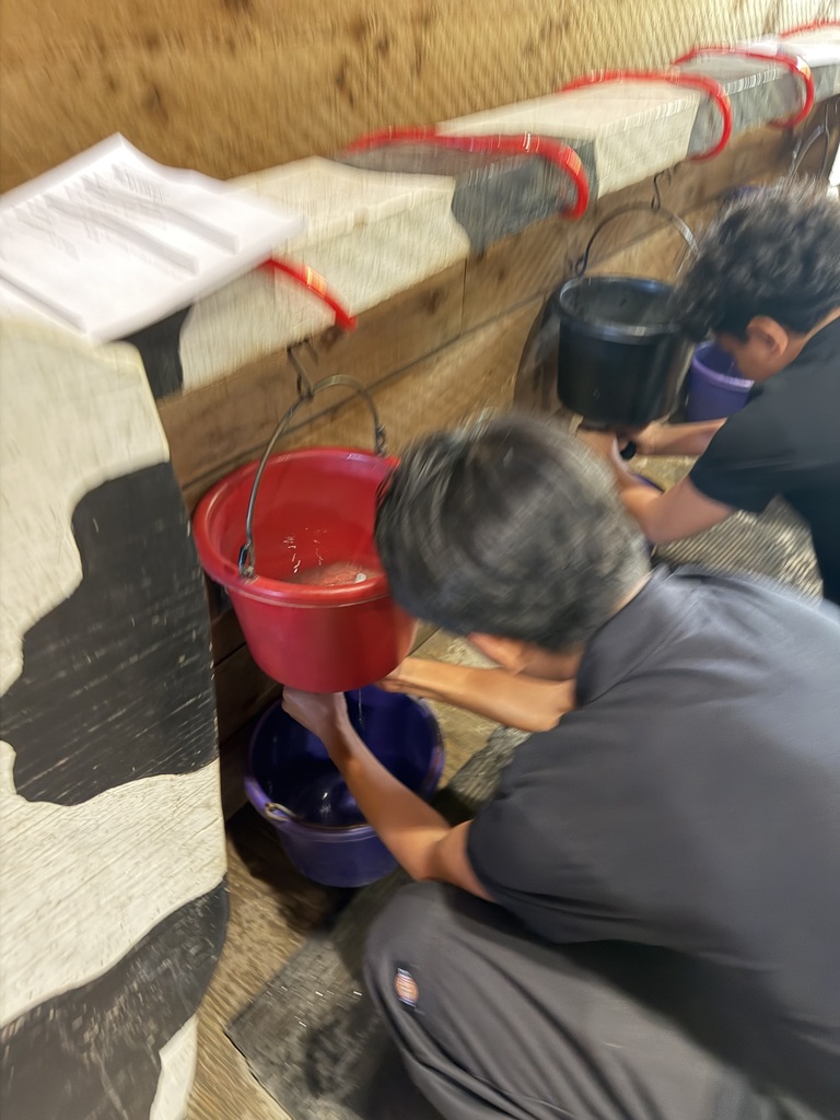 student learning how to make a cow