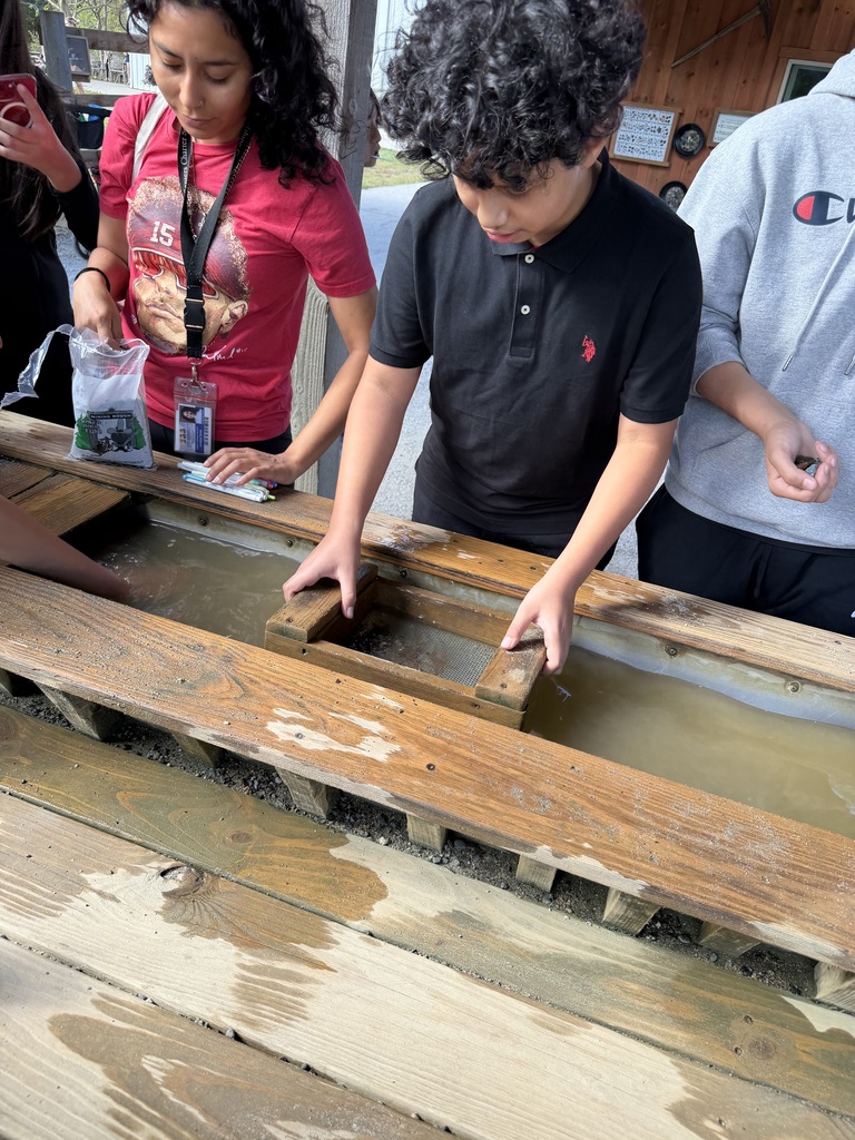 student trying to finds some gems
