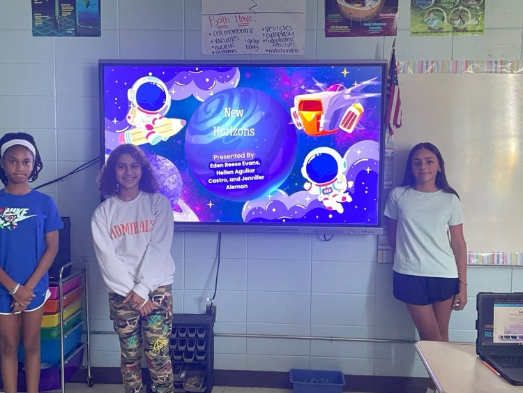 Bvms science