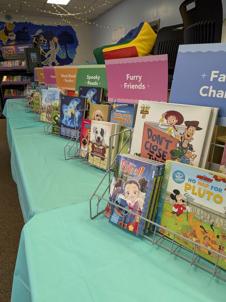 Book Fair Images of books on shelves in the library 