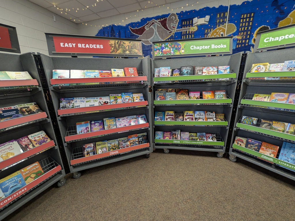 Book Fair Images of books on shelves in the library 