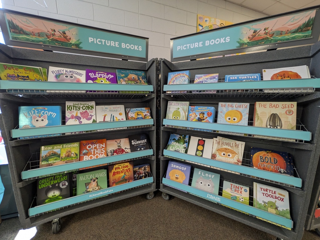 Book Fair Images of books on shelves in the library 