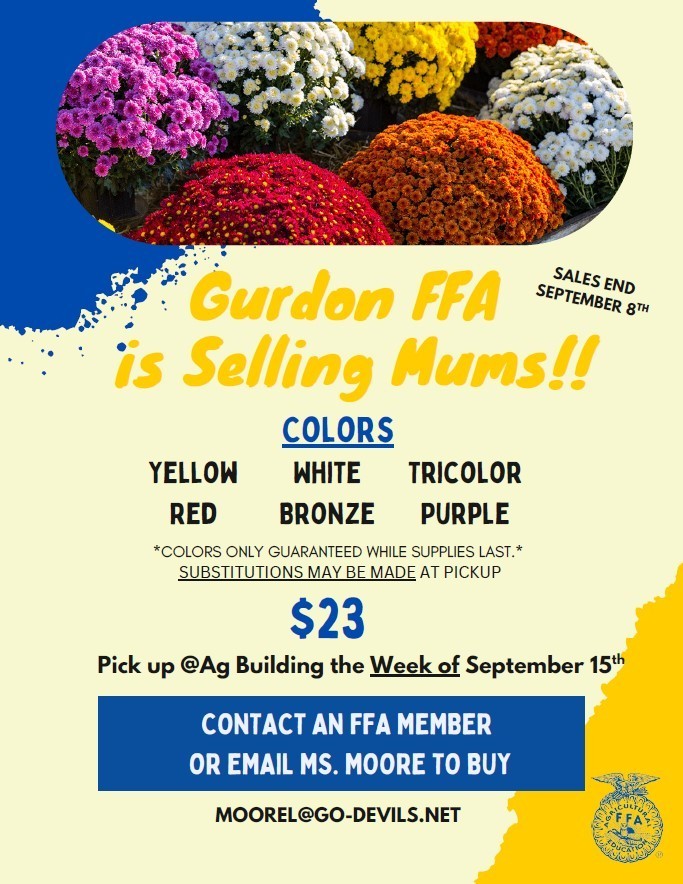 FFA Mums