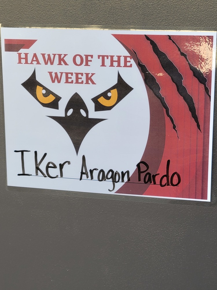 Hawk