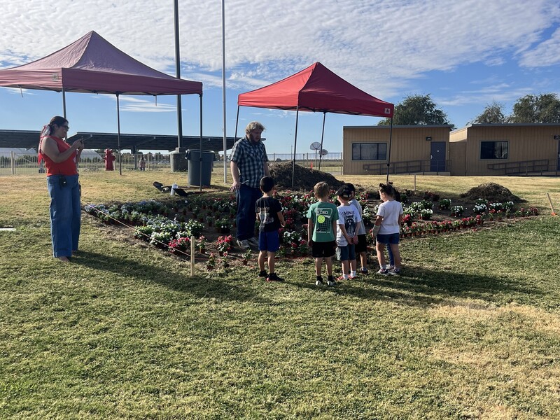 Kinder students helping with the garden
