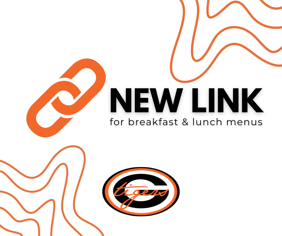 White background with orange wave graphics and a chain icon. "NEW LINK" in large orange letters and "Tigers" logo with orange and black colors.