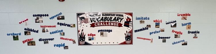 vocabulary