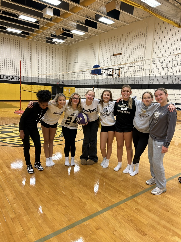 volleyball group