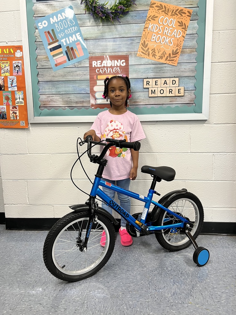 Top Accelerated Readers for 2025