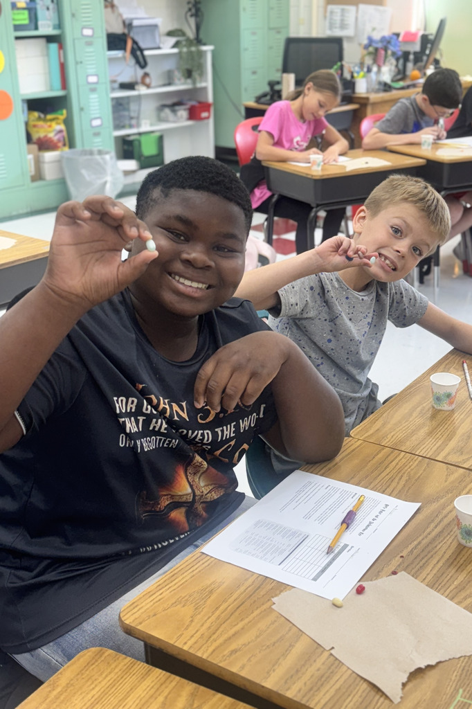 5th grade Harry Potter