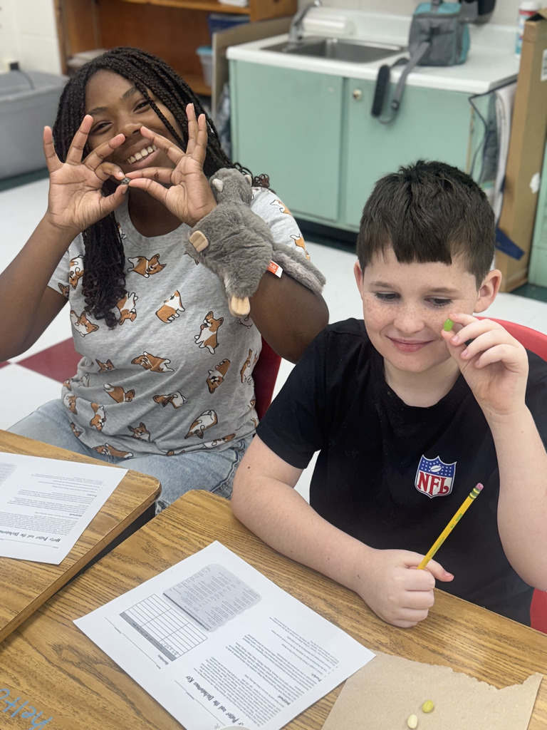 5th grade Harry Potter