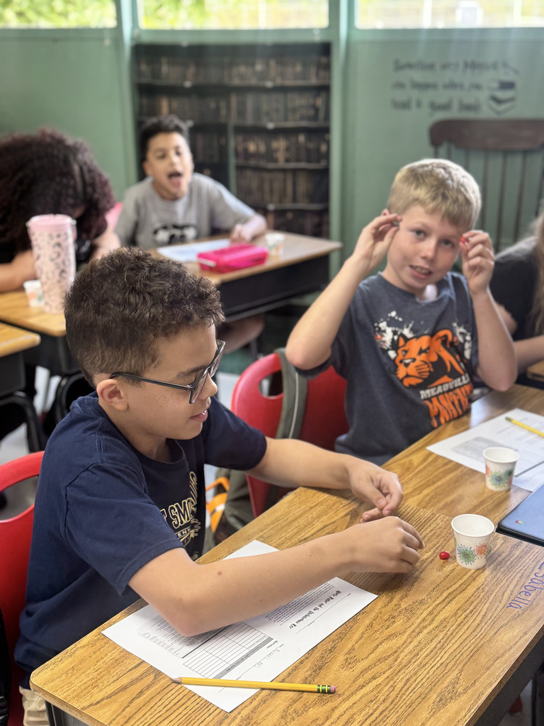 5th grade Harry Potter